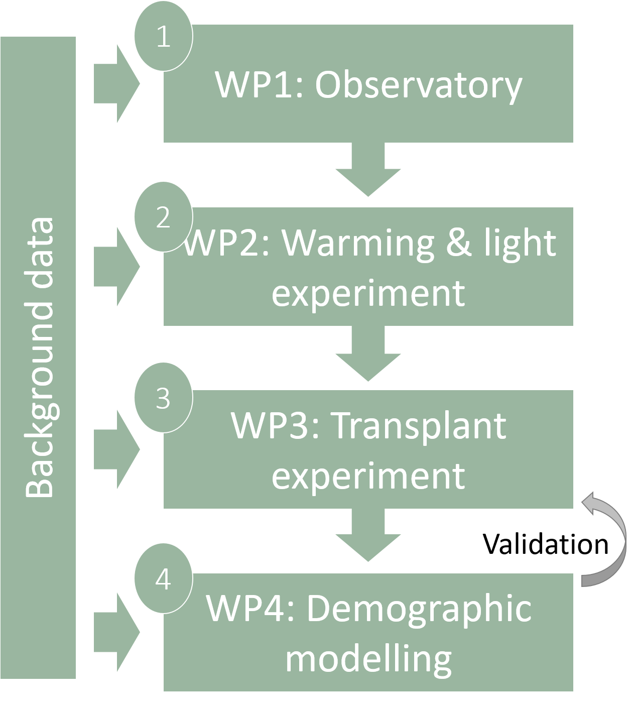 Overview of work packages